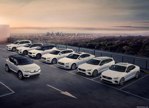 沃爾沃11月銷量增長24.5%，庫存深度不足一個月再創(chuàng)新紀錄